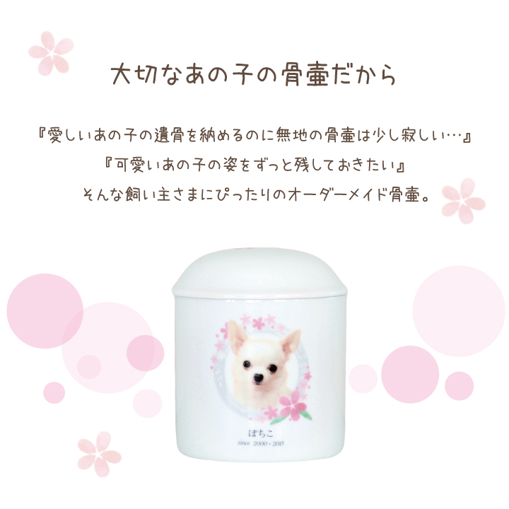 ペット骨壷 写真入り