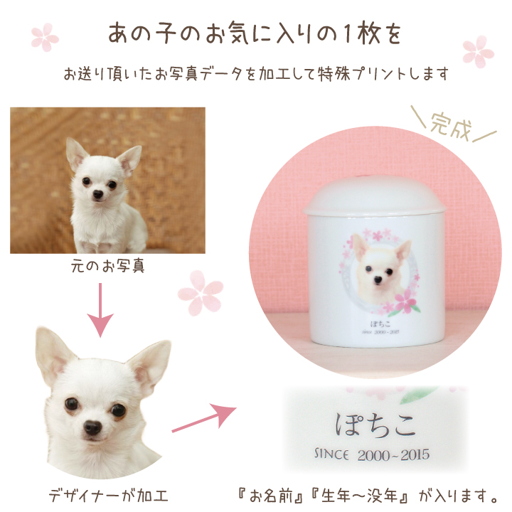 ペット骨壷 写真入り