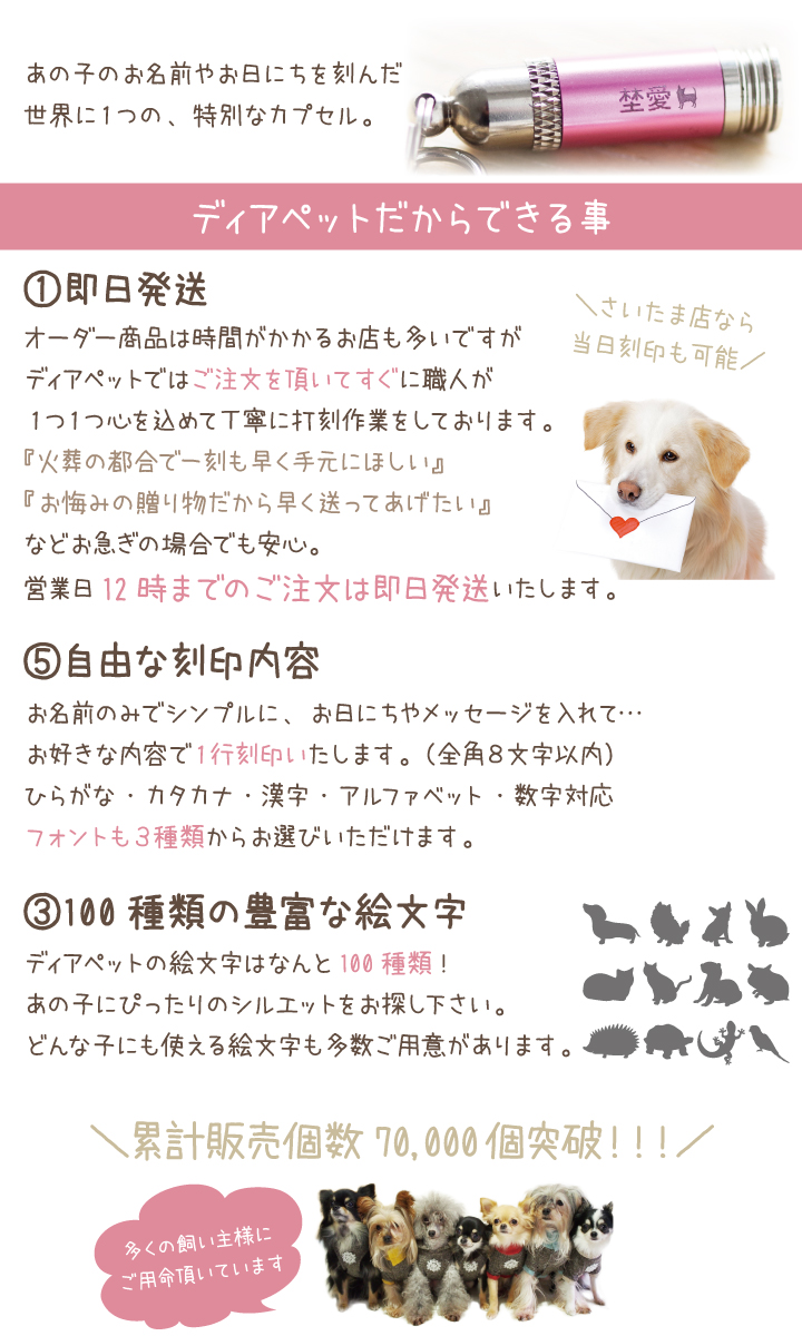 ペット遺骨カプセル オリジナル