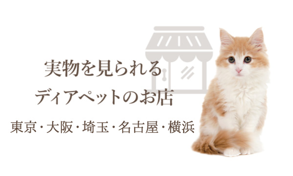 ディアペット実店舗
