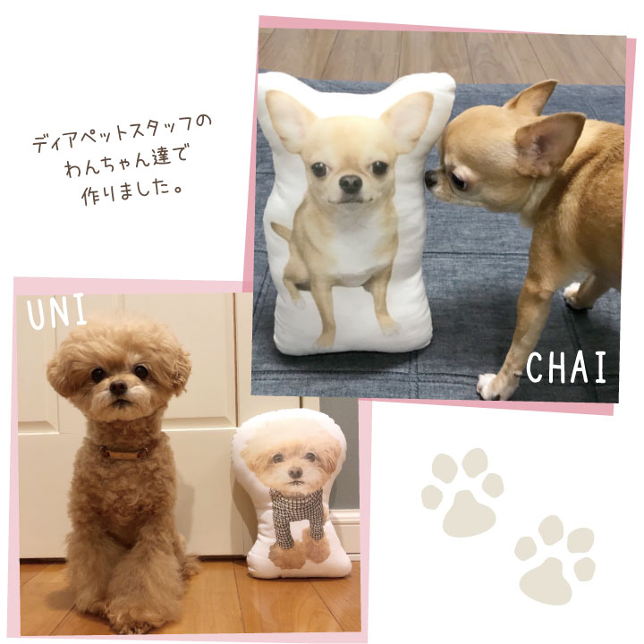 ペットの写真で作るクッション
