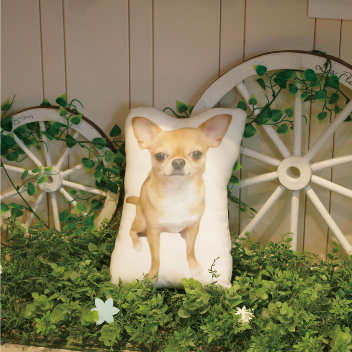 ペットの写真で作るクッション