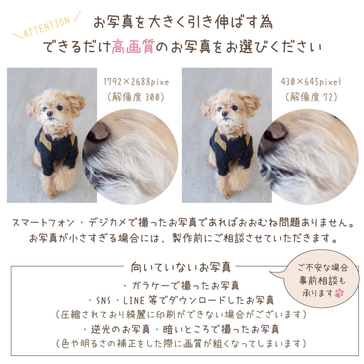 ペットの写真で作るクッション