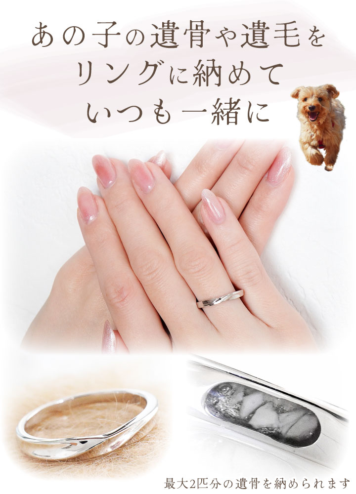 蜉蝣　大佑さんから頂いた指輪 TAIKYOKU ｜ 和の結婚指輪・婚約指輪ブランド｜巴 TOMOE