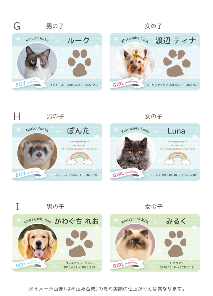 ペットの写真と名前を入れて作るカード