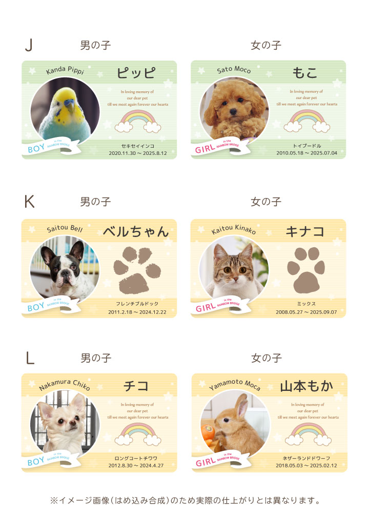 ペットの写真と名前を入れて作るカード