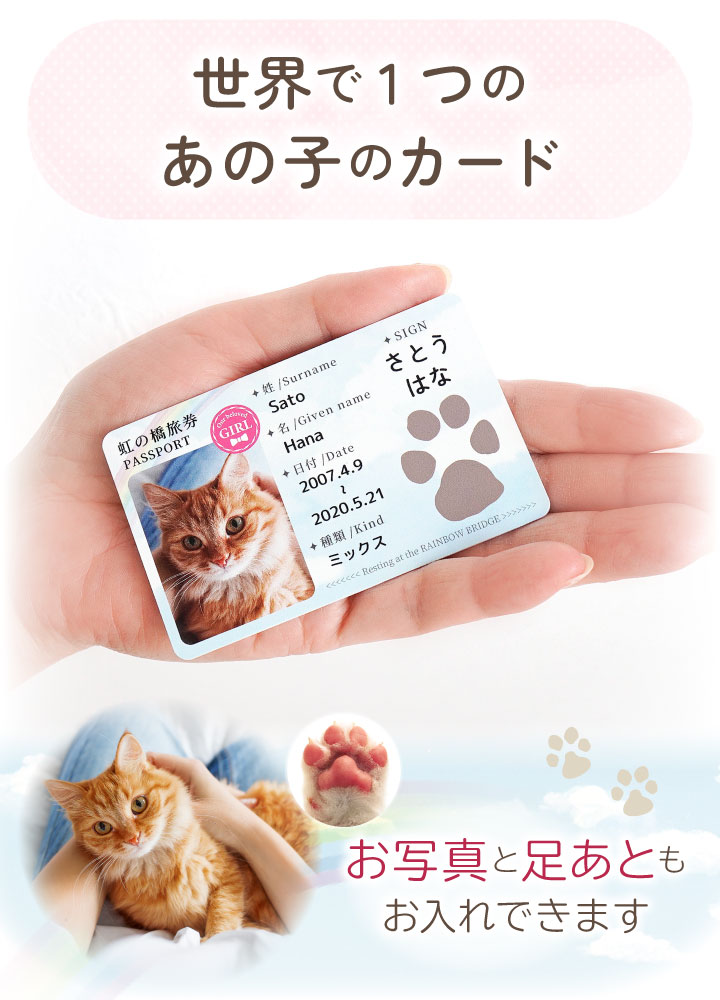 ペットの写真と名前を入れて作るカード