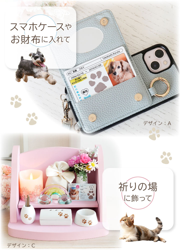 ペットの写真と名前を入れて作るカード
