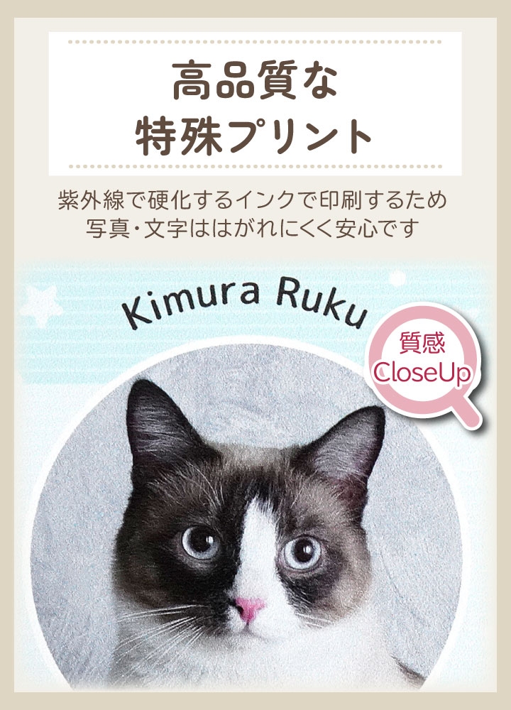 ペットの写真と名前を入れて作るカード