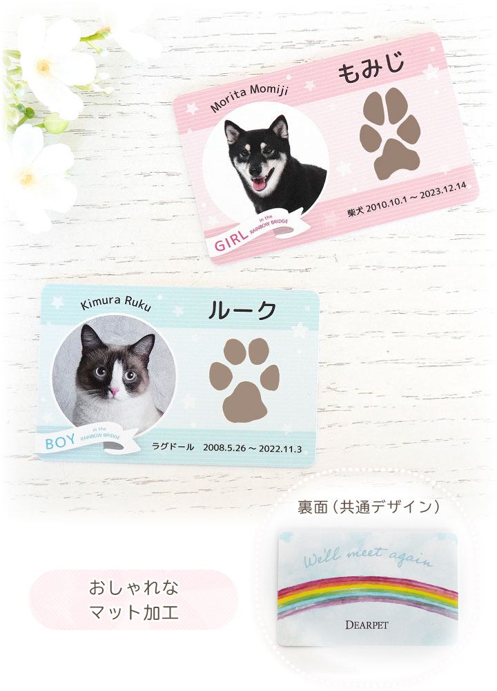 ペットの写真と名前を入れて作るカード