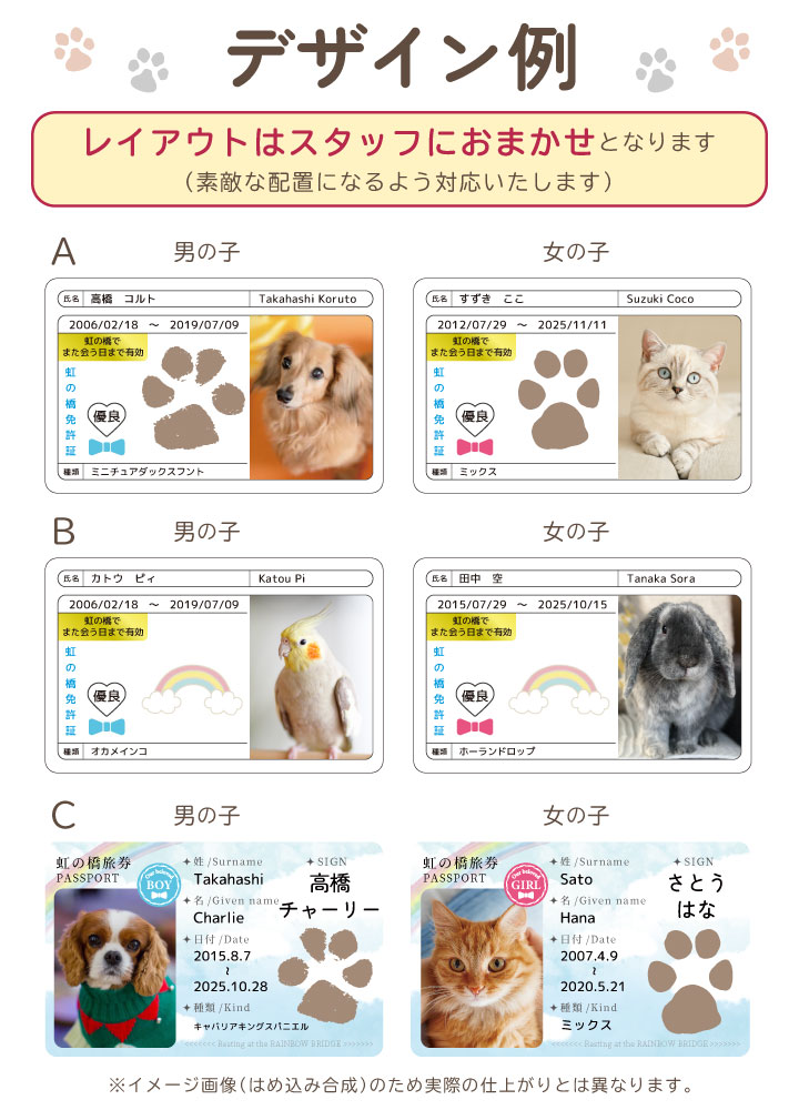 ペットの写真と名前を入れて作るカード