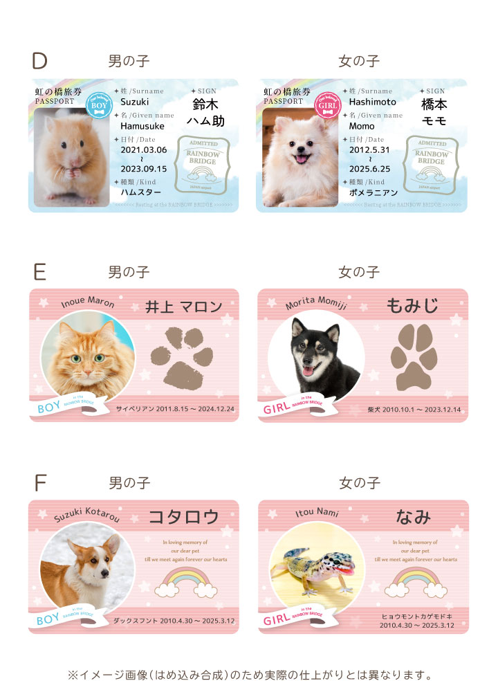 ペットの写真と名前を入れて作るカード