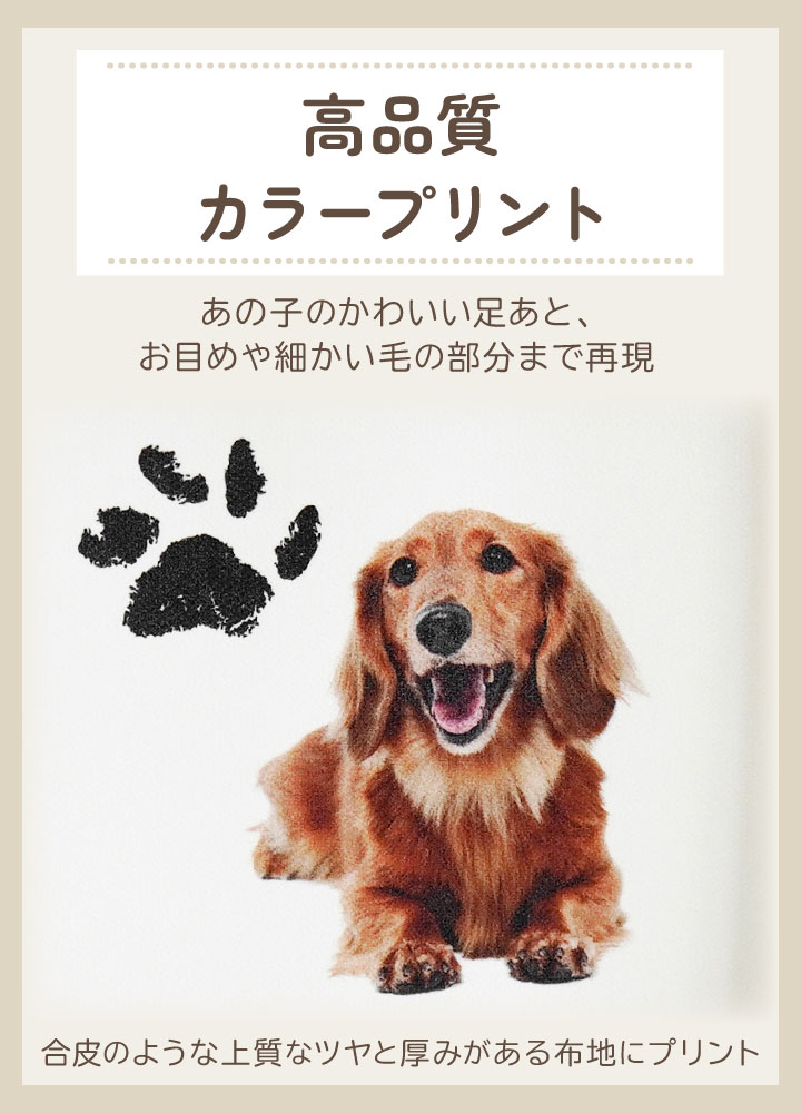 ペットの写真で作るクッション