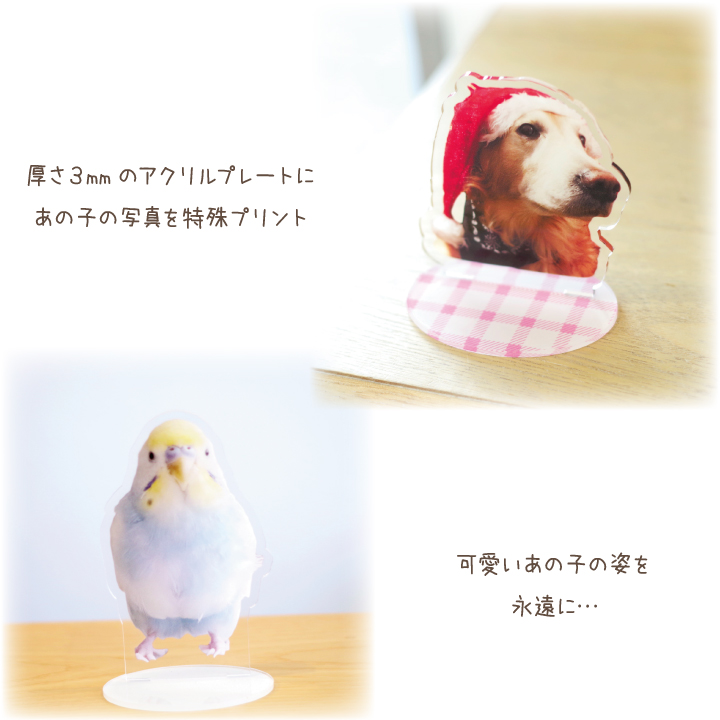 ペット供養