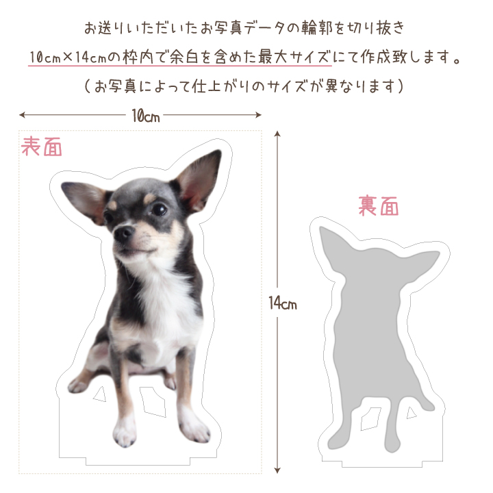 ペット仏具 写真