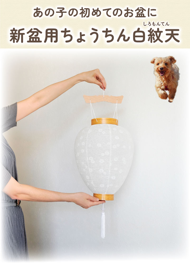 お盆提灯