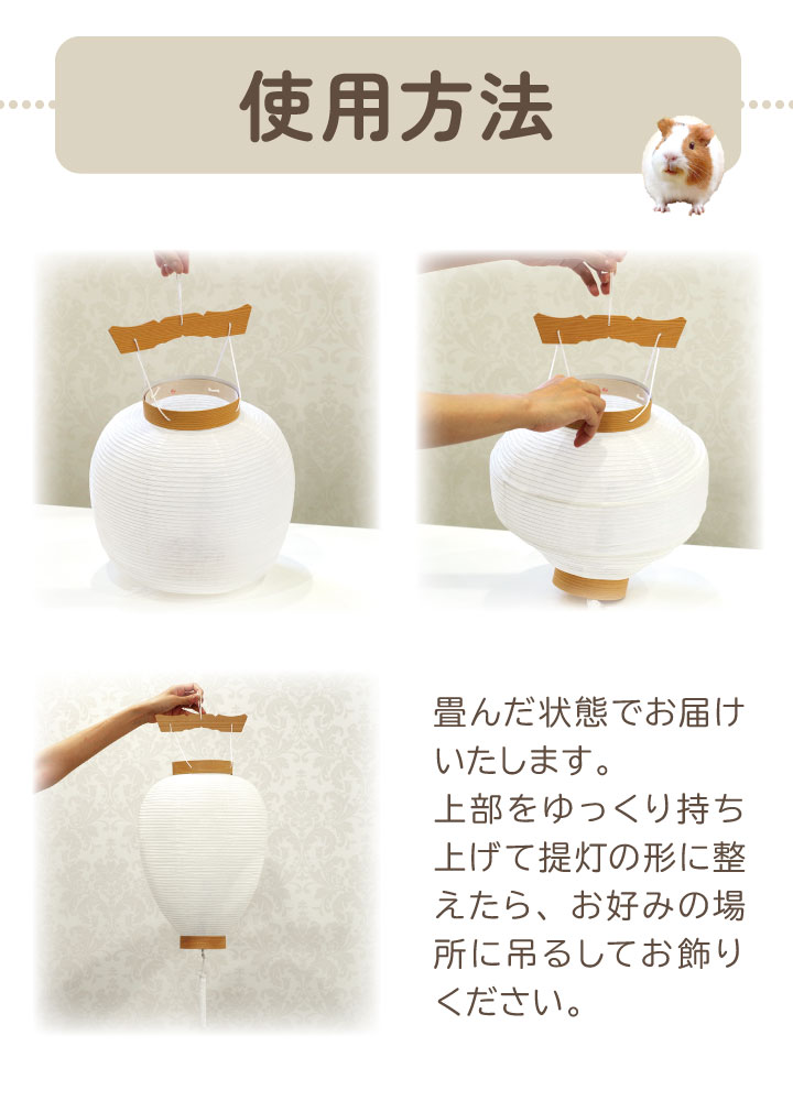 お盆提灯
