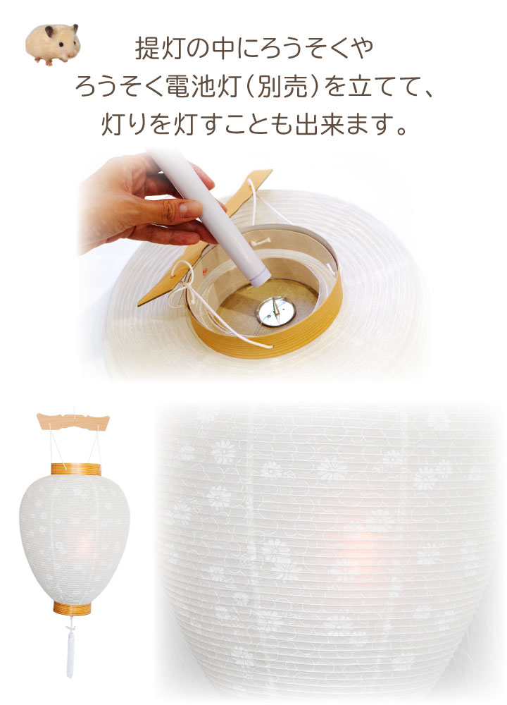 お盆提灯