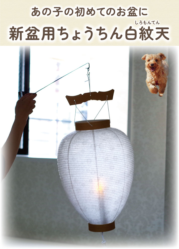 お盆提灯