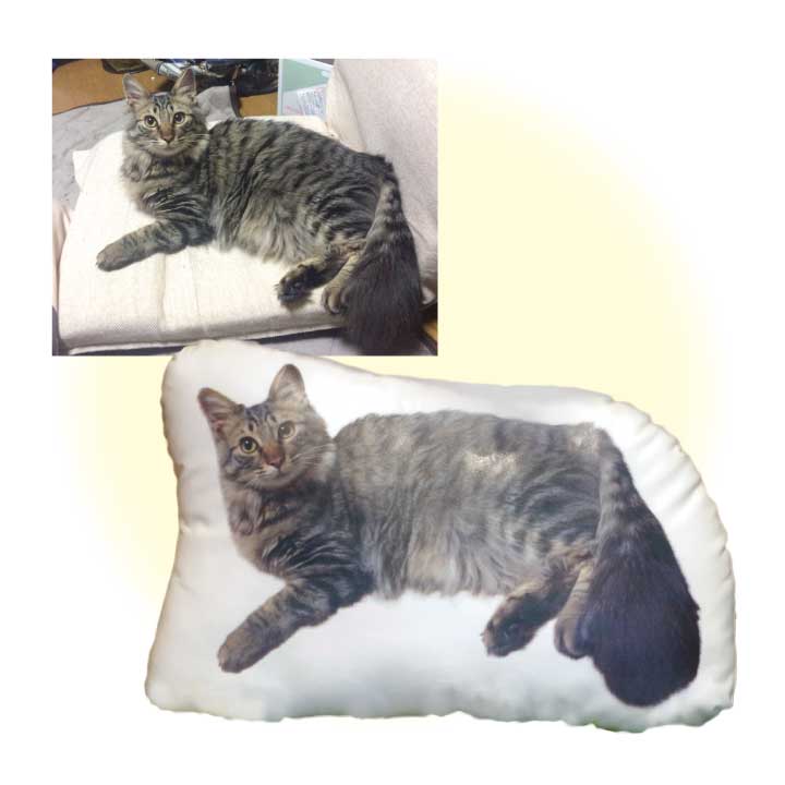ペットの写真で作るクッション
