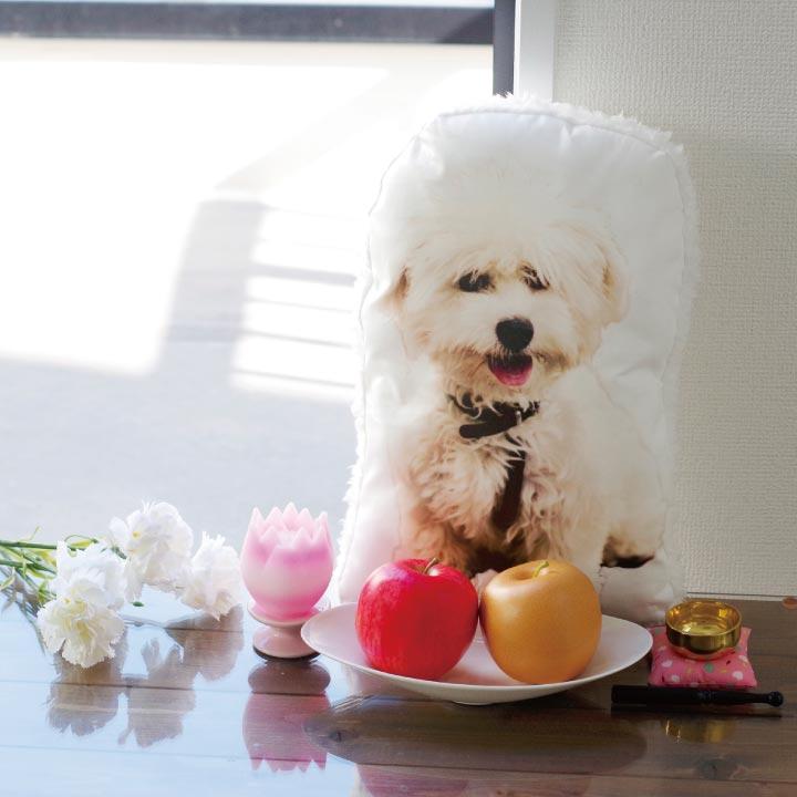 ペットの写真で作るクッション