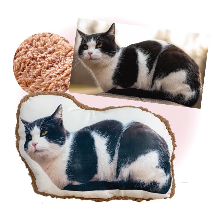 ペットの写真で作るクッション