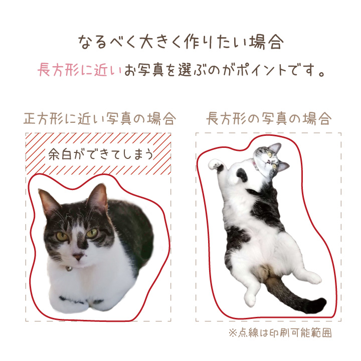ペットの写真で作るクッション