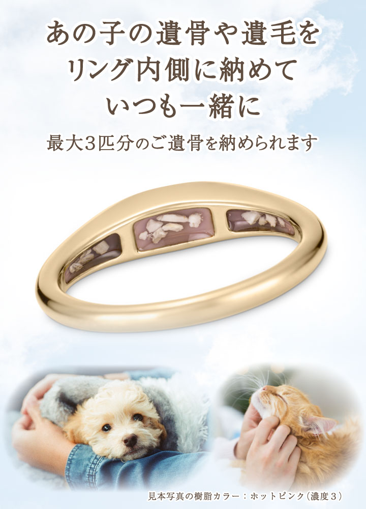 ペット 遺骨 リング 指輪 クオーリア シグネット RS-673 Cuoria Signet