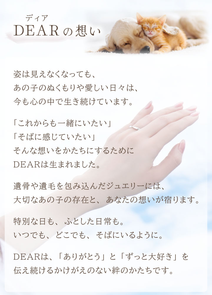 DEARの想い(コンセプト)