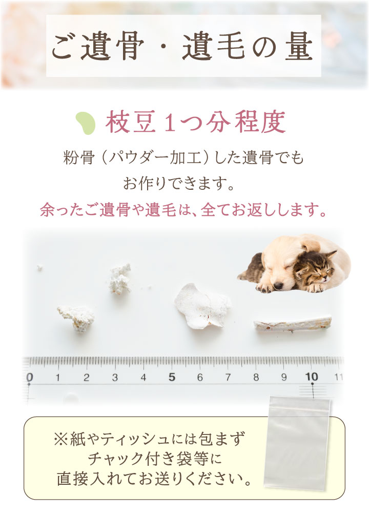 DEARご遺骨の量
