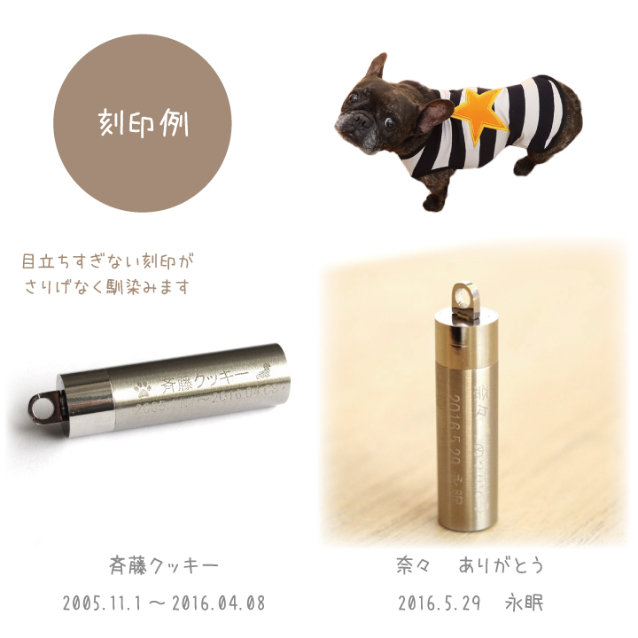 ペット遺骨カプセル 注意