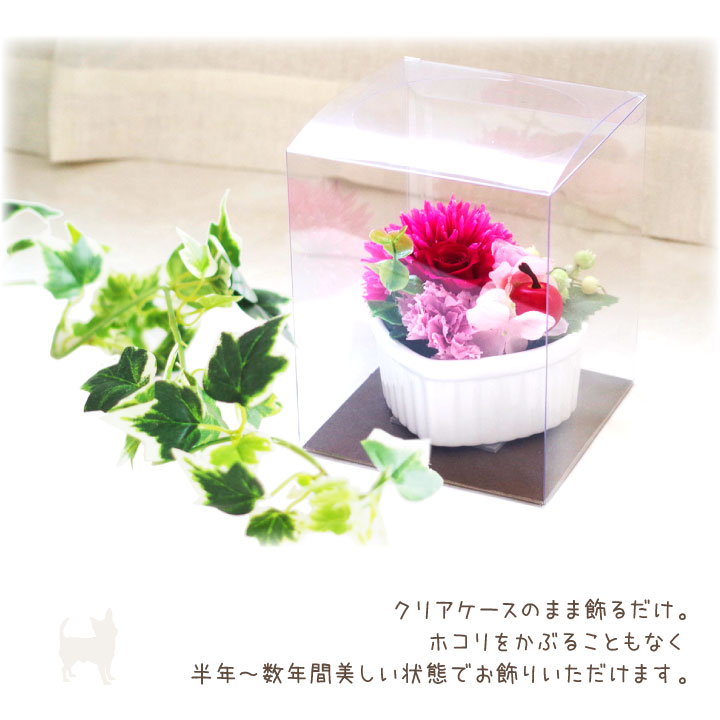 ペットちゃんのお供えやギフトに最適のプリザ