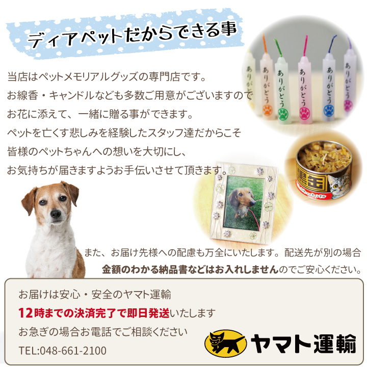 ペット プリザーブドフラワー お供え お悔み ギフト