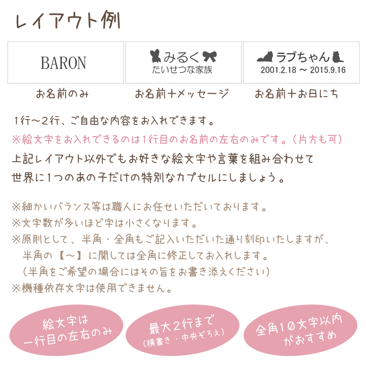 ペット遺骨カプセル ステンレス