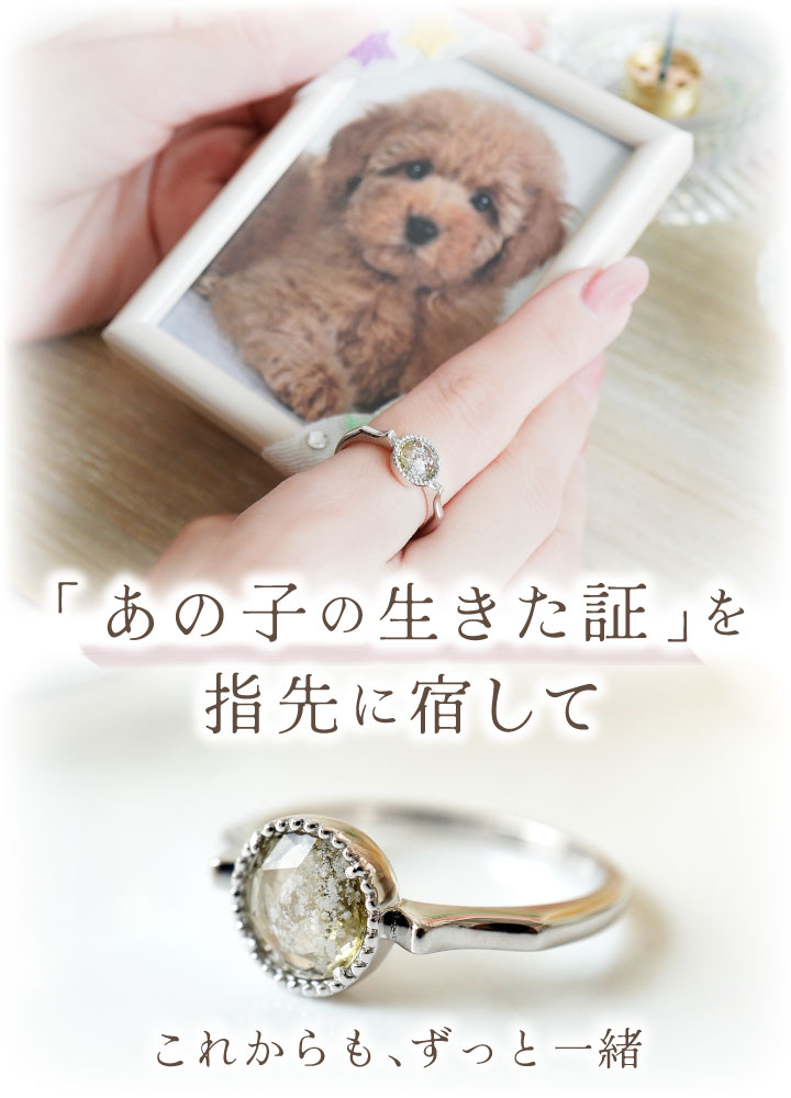 いぬごろう　リング4点 c2cc3597b136b71f8f899096b29506