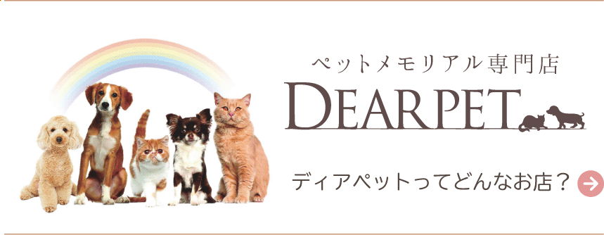 詳しくはこちら