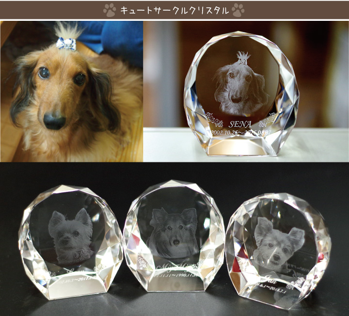 ペット位牌