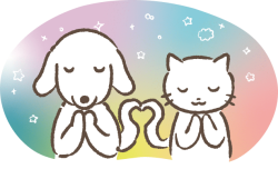祈りをささげる犬と猫