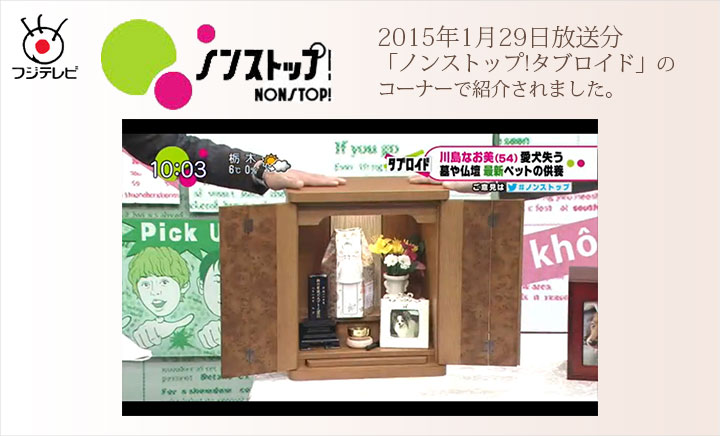 nonstop紹介