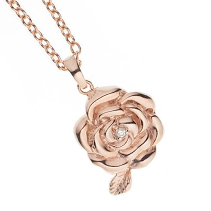 デザインの特徴