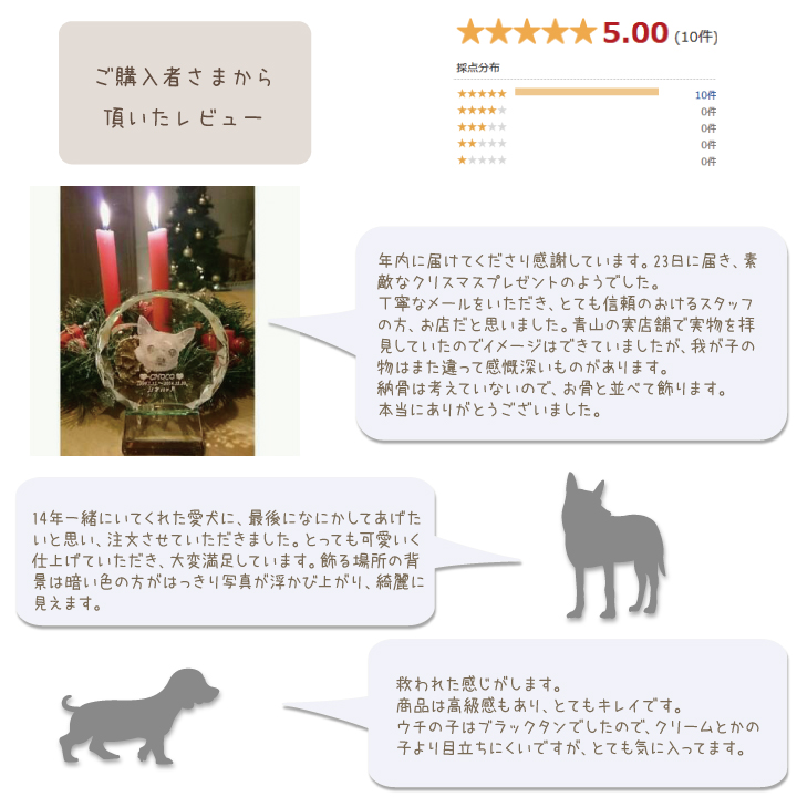 レビュー お声