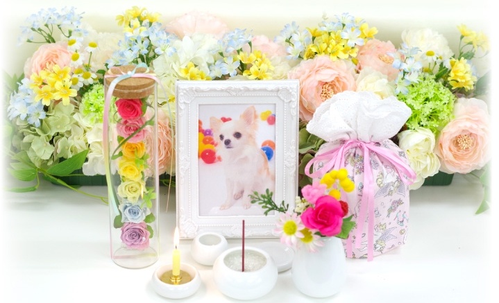 ペットのお供え お悔やみの花 お墓参りや仏壇に ペット供養のお花選び ディアペットメモリアルブログ
